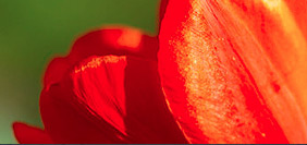 短信轰机轰炸app下载安卓手机